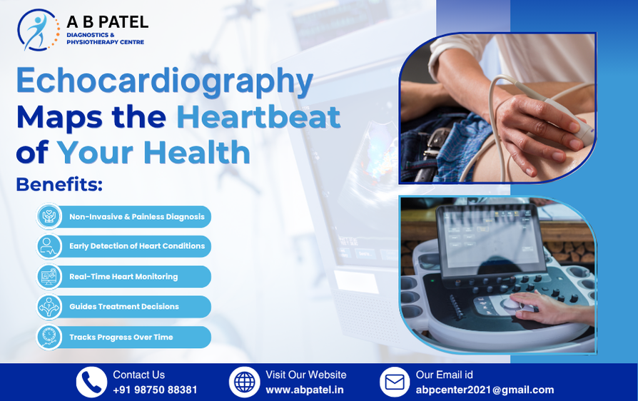 Echocardiography Maps the Heartbeat of Your Health
